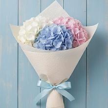 Букет цветов из:  Гортензия #REPLACE_PRED# Чупряково