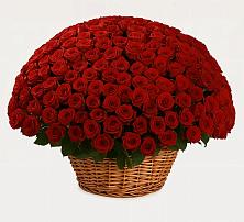 Премиум букет из: Розы #REPLACE_PRED# Чупряково